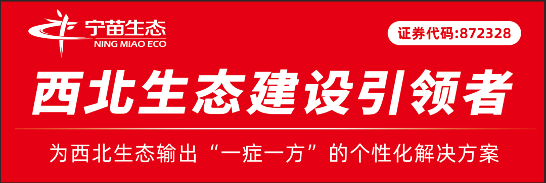 1710123977772334.png banner.png