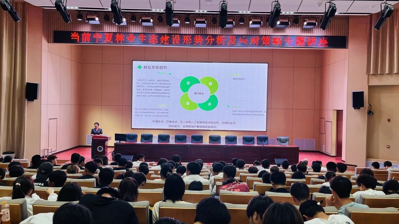 1717656648976993.jpg 6.jpg