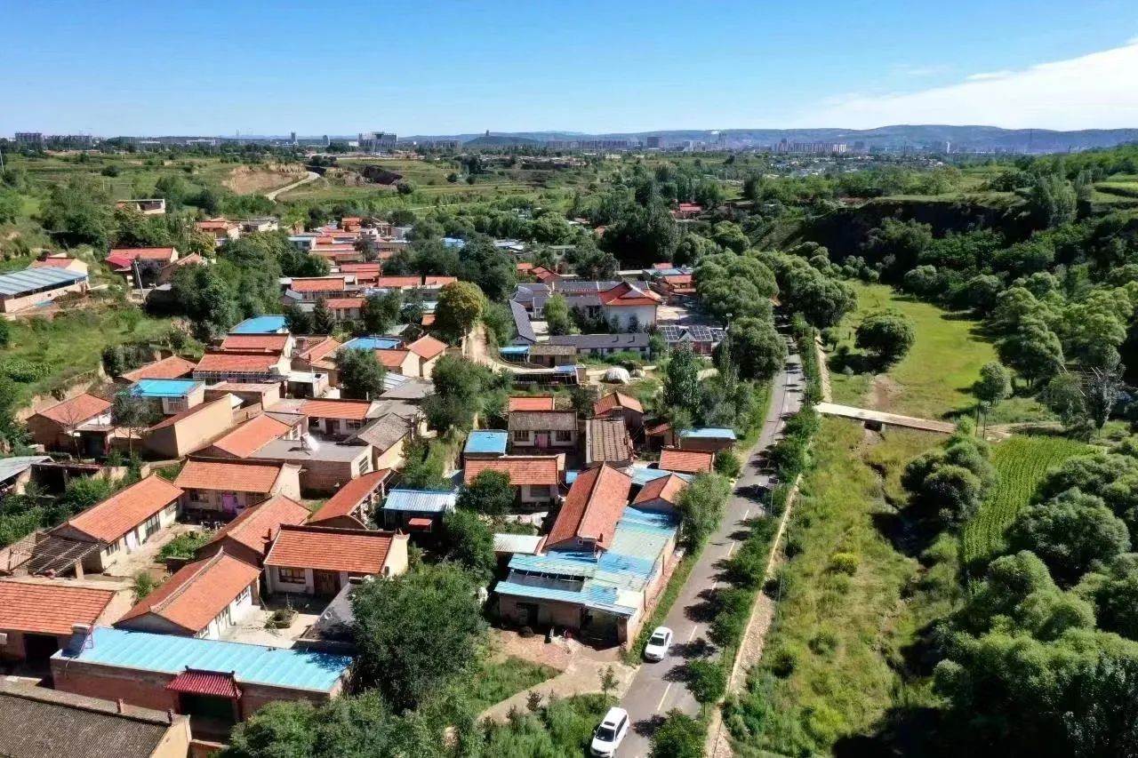 1717662035118617.jpg 7.jpg