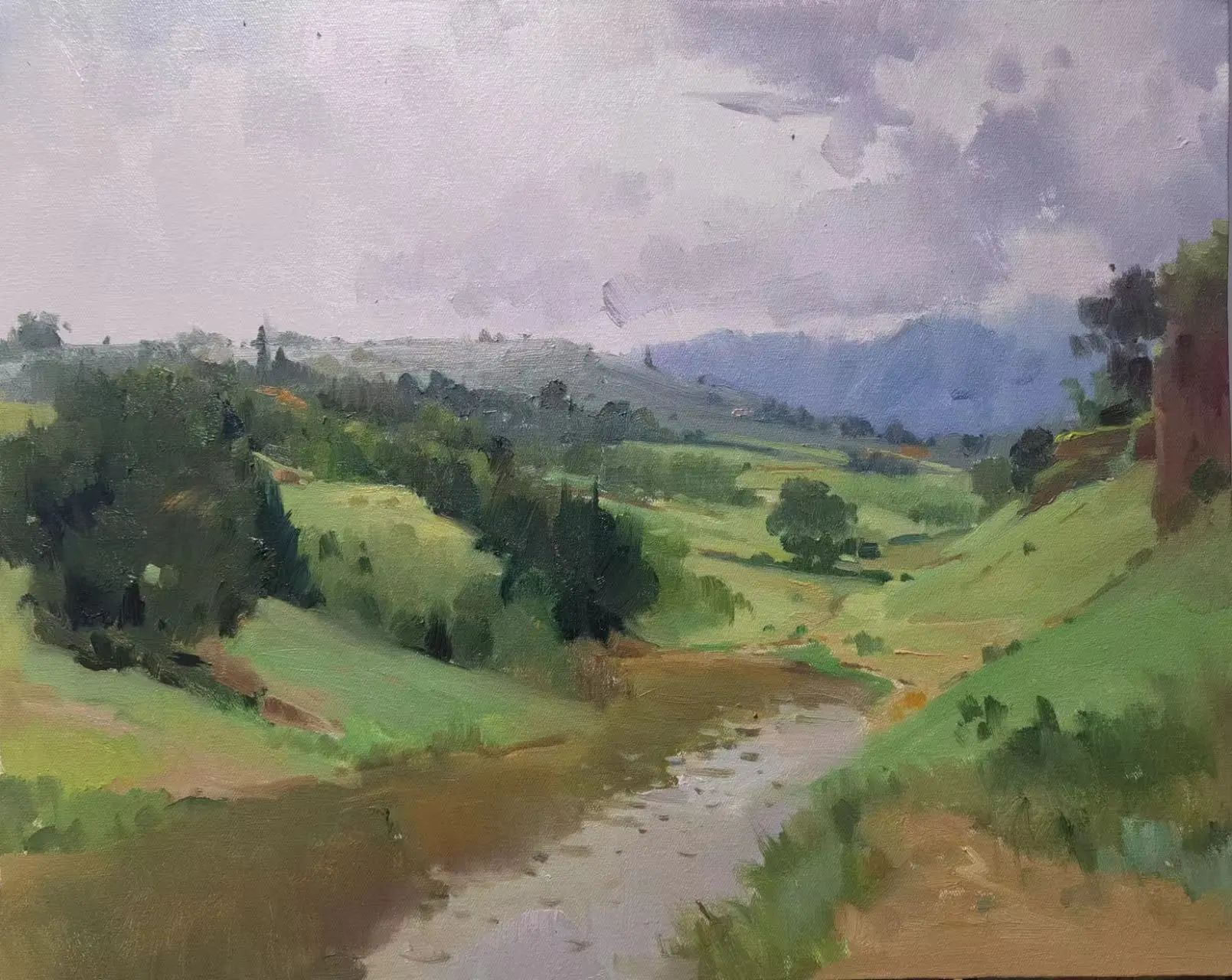 1717662095127464.jpg 13.jpg